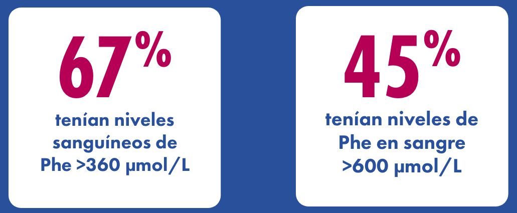 \"Bloques
